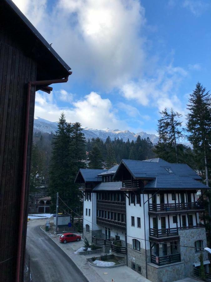 Still * Sinaia