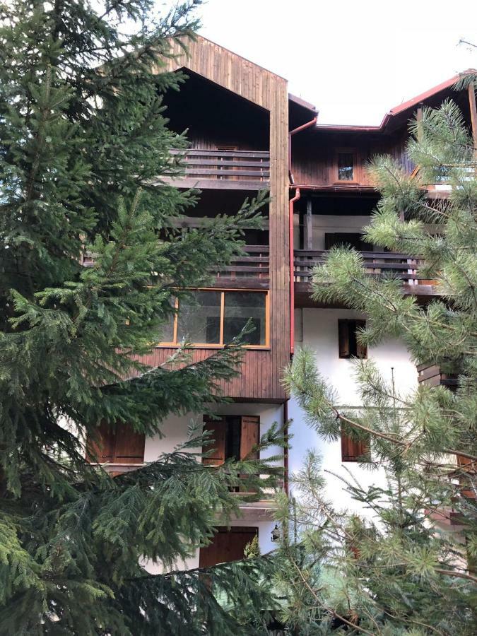 Still * Sinaia