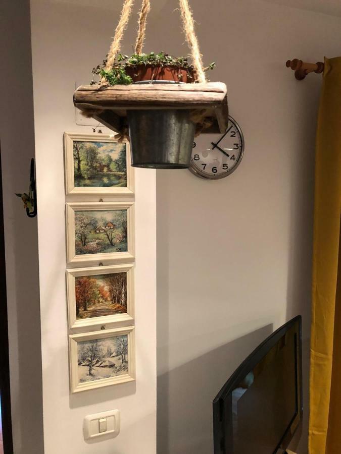 Apartament Still *